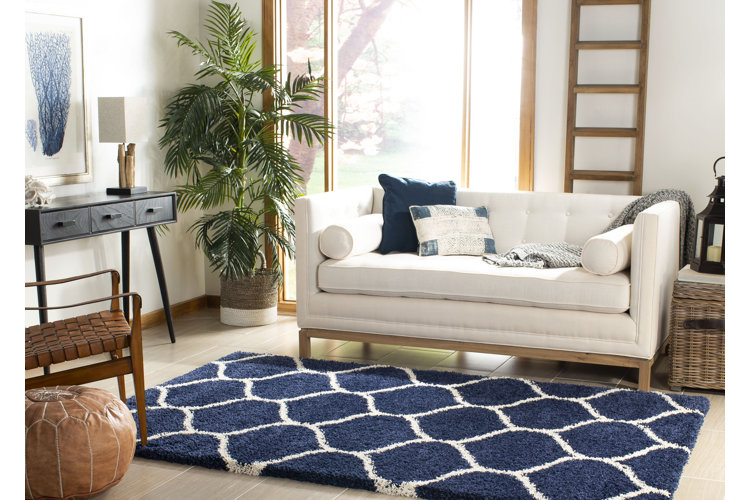 Cleaning 101 How to Clean a Shag Rug Wayfair